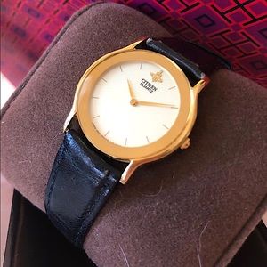 Citizen Gold Stainless Steel Men’s Watch